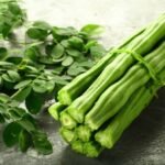 Top 10 Moringa Health benefits: Why This “Miracle Tree” Deserves a Place in Your Diet Moringa Health