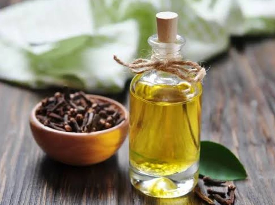 Clove Oil Benefits