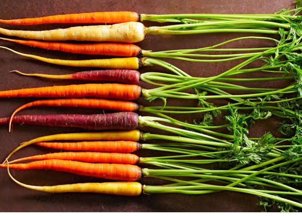Health benefits of carrot