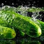 Health Benefits of Cucumber