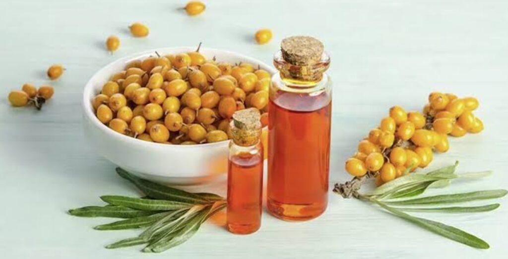 Sea Buckthorn Oil Benefits
