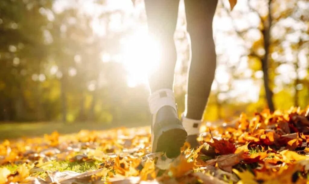 Summer Walking